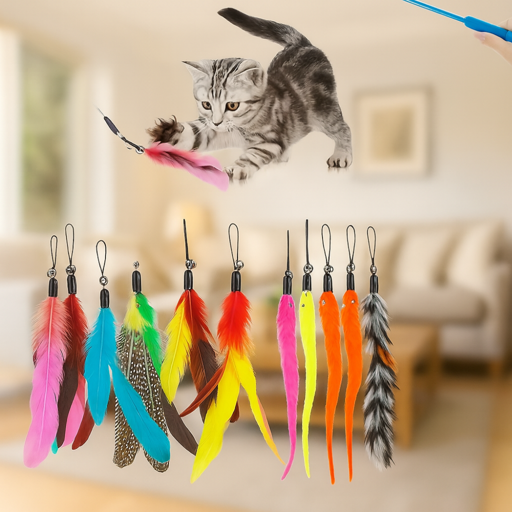 Lot 12 jouets interactifs pour chat avec plumes et bâtons