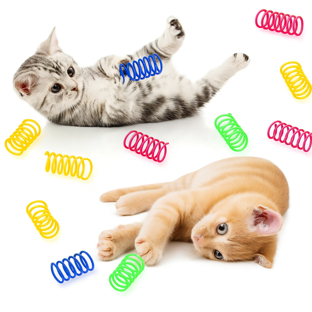 Jouets ressorts pour chat – Lot de 16 spirales plastiques colorées interactives