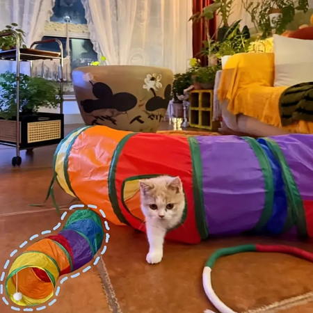 Tunnel de jeu pliable en S avec jouet suspendu pour chats