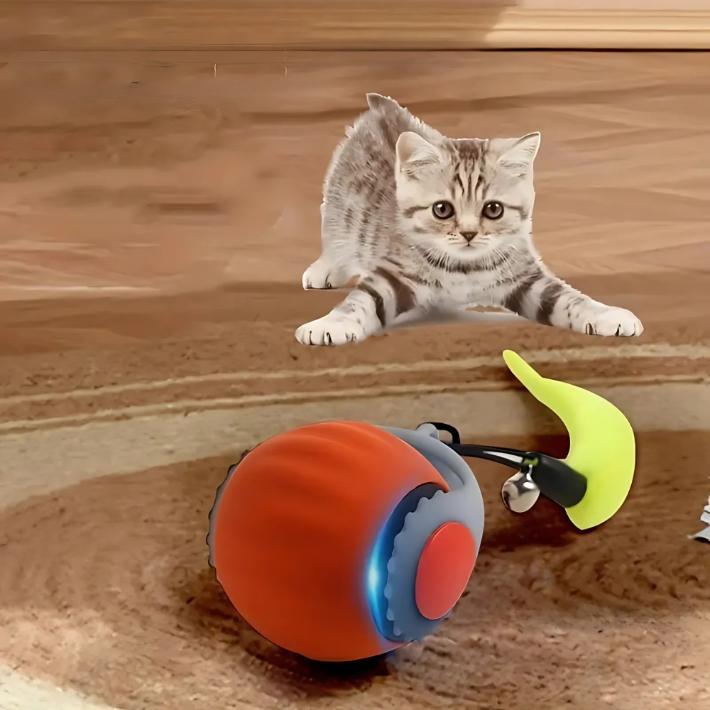 Balle interactive électrique rechargeable pour chat avec plumes et roulement automatique