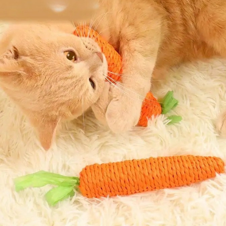 Lot de 2 jouets carotte pour chat – interactifs avec cloche intégrée
