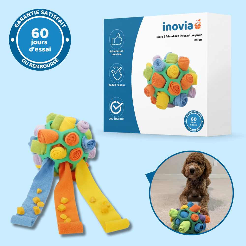 Balle à friandises interactive pour chien