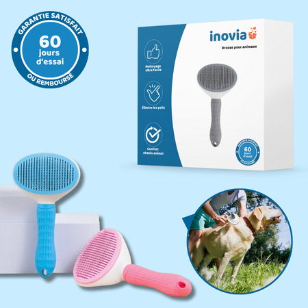 Brosse pour animaux efficace et facile à nettoyer