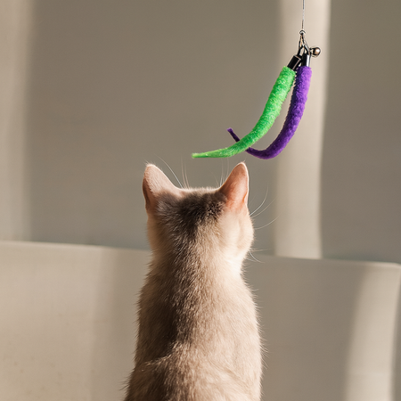 Lot 12 jouets interactifs pour chat avec plumes et bâtons