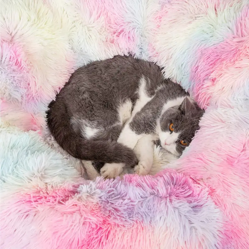 Tunnel pliable en peluche chaud pour chats et petits animaux