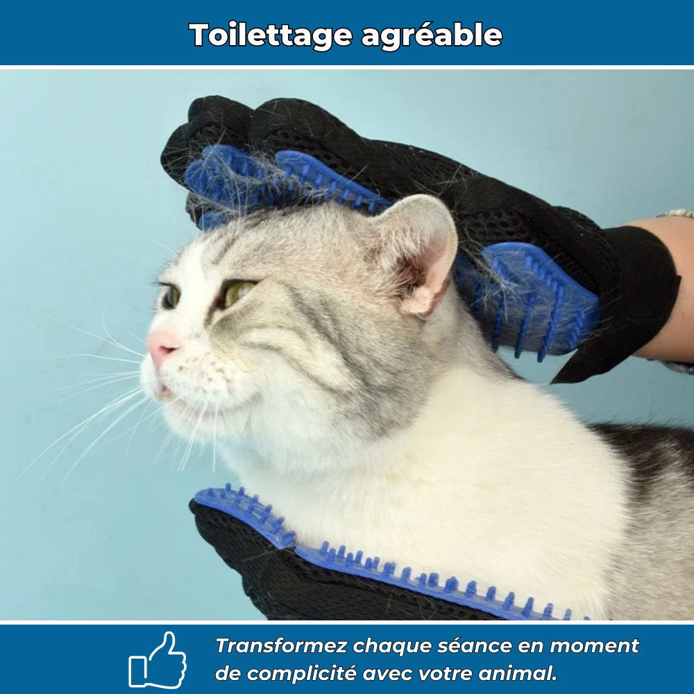 Gants de toilettage anti-poils
