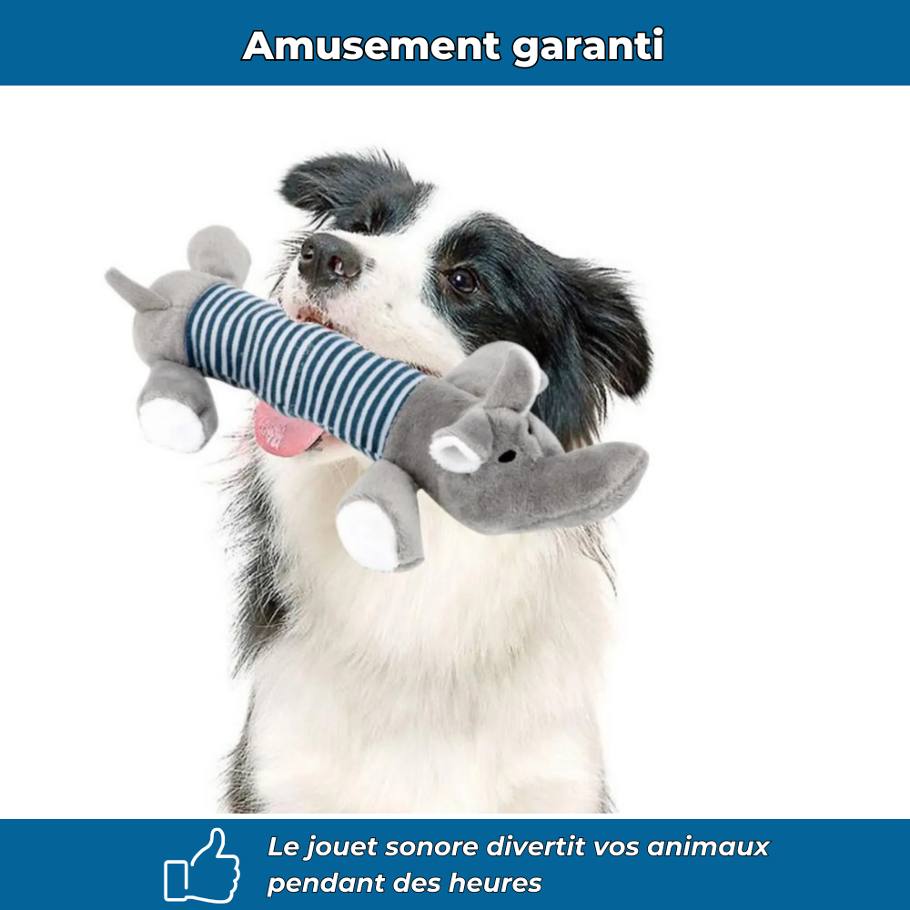 Jouet en peluche grinçant pour animaux
