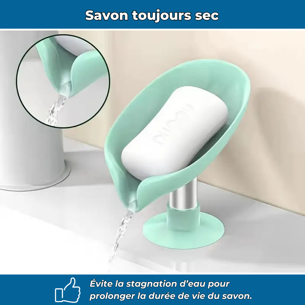 Porte-savon feuille auto-drainant