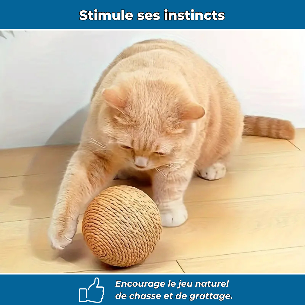 Balle à gratter interactive pour chats