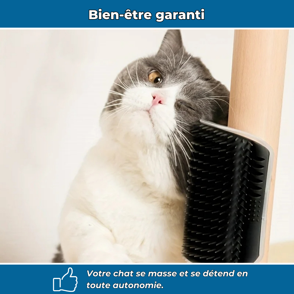 Brosse murale massante pour chat