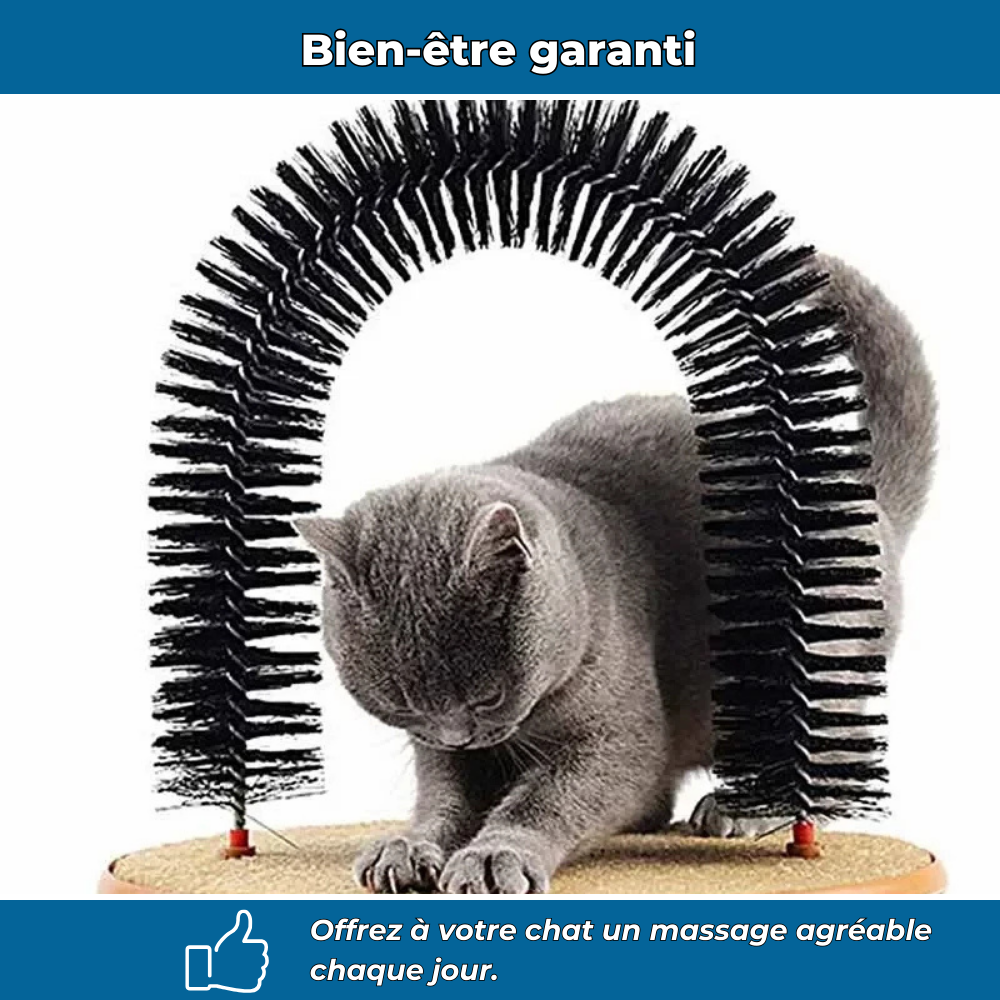 Arche massage et brossage chat
