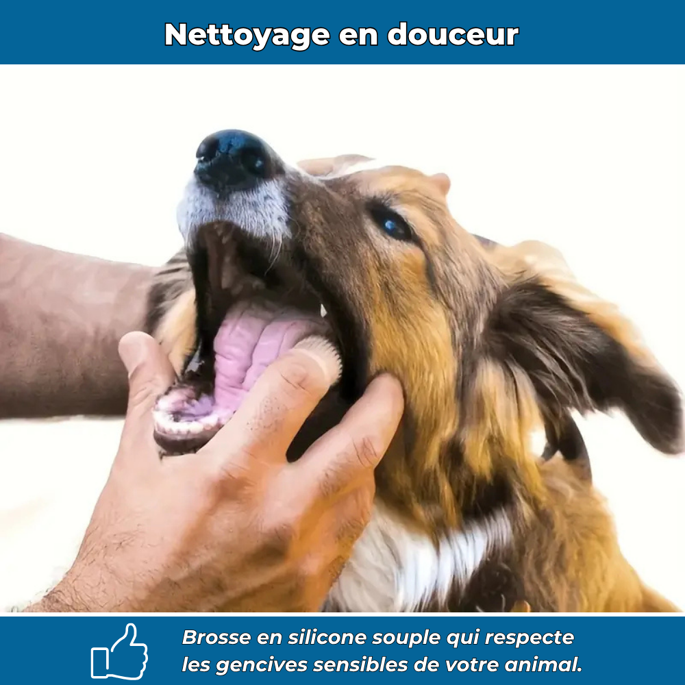 Brosse à dents en silicone pour chiens et chats