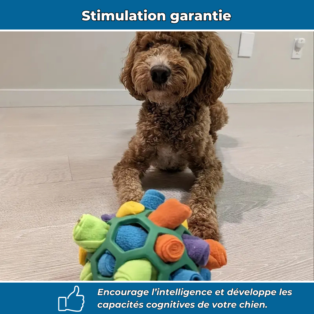 Balle à friandises interactive pour chien