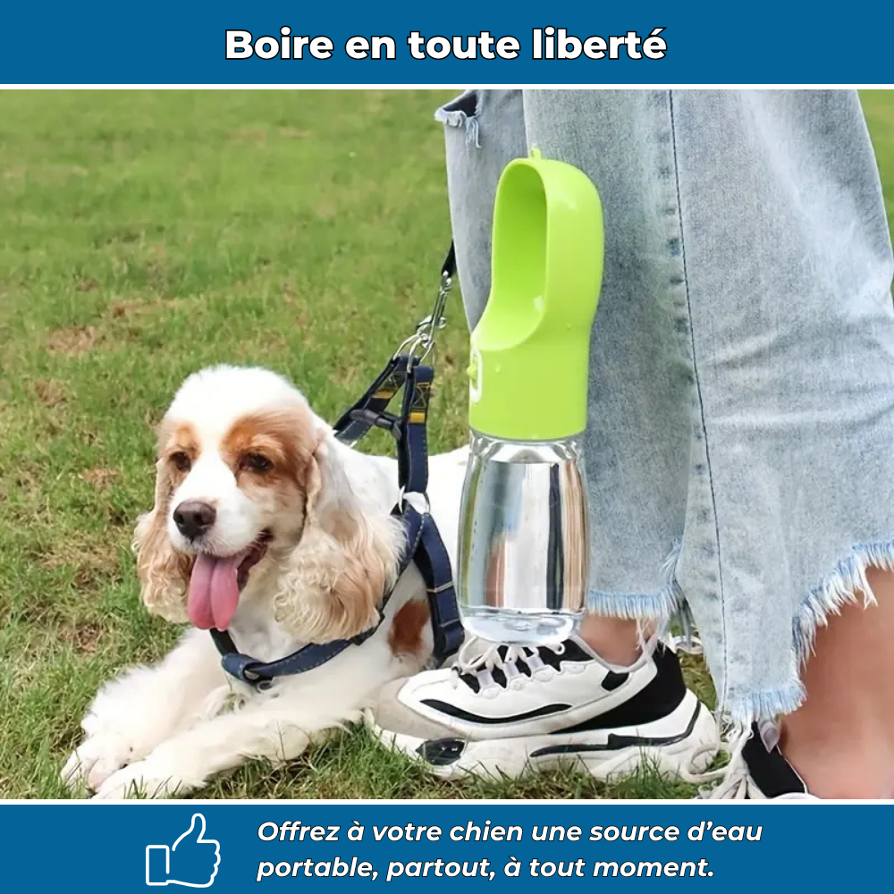 Gourde de voyage avec bol intégré pour chien