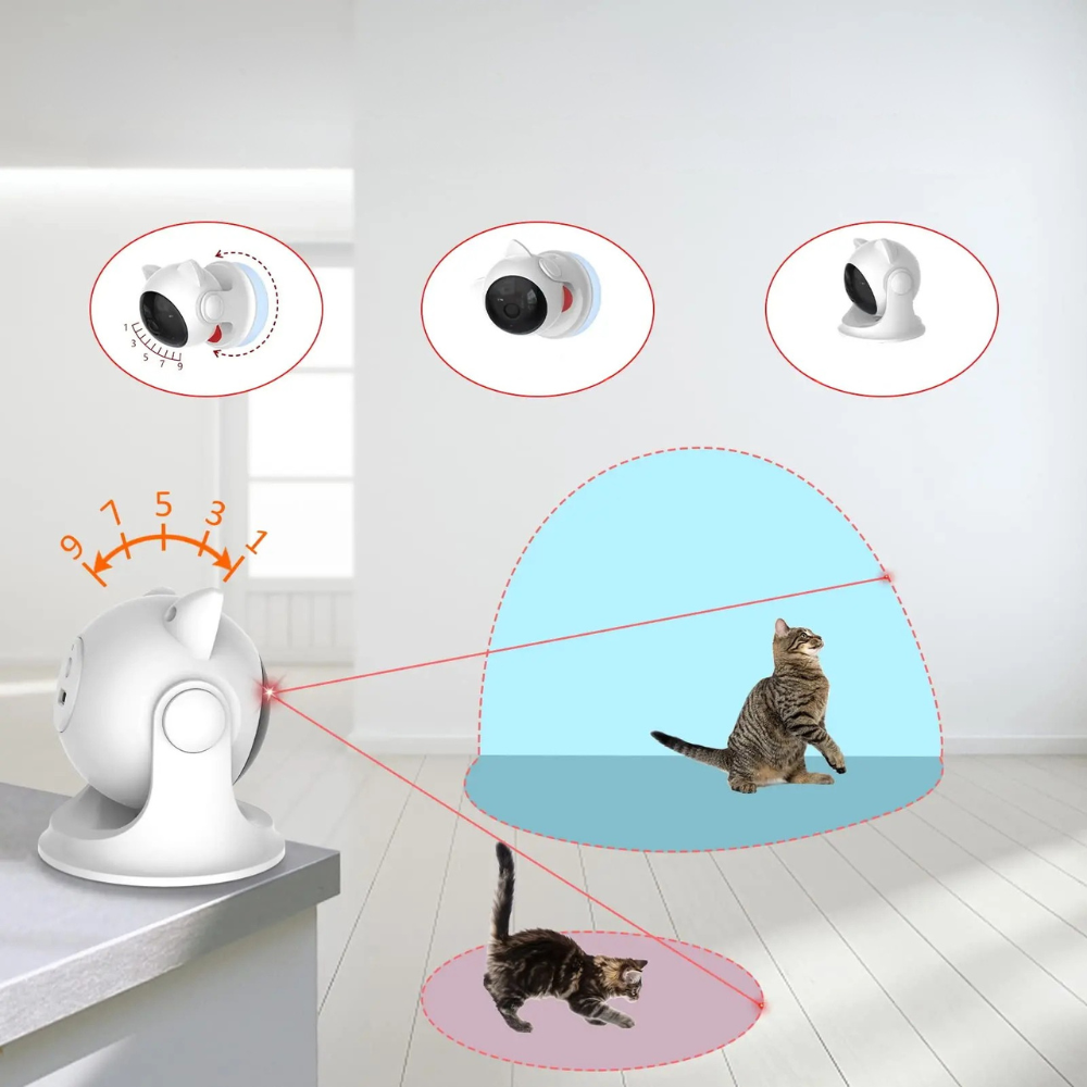 Jouet laser automatique interactif pour chats d’intérieur