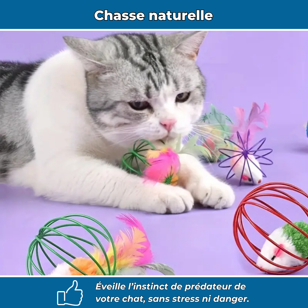 Balle cage interactive avec souris pour chat