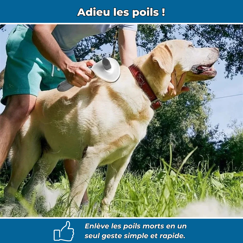 Brosse pour animaux efficace et facile à nettoyer