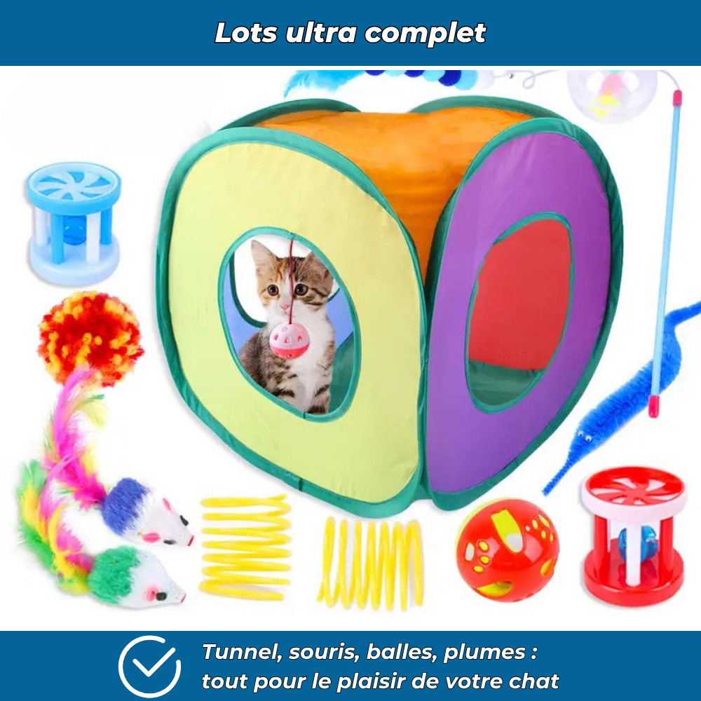 Lot de jouets interactifs pour chat