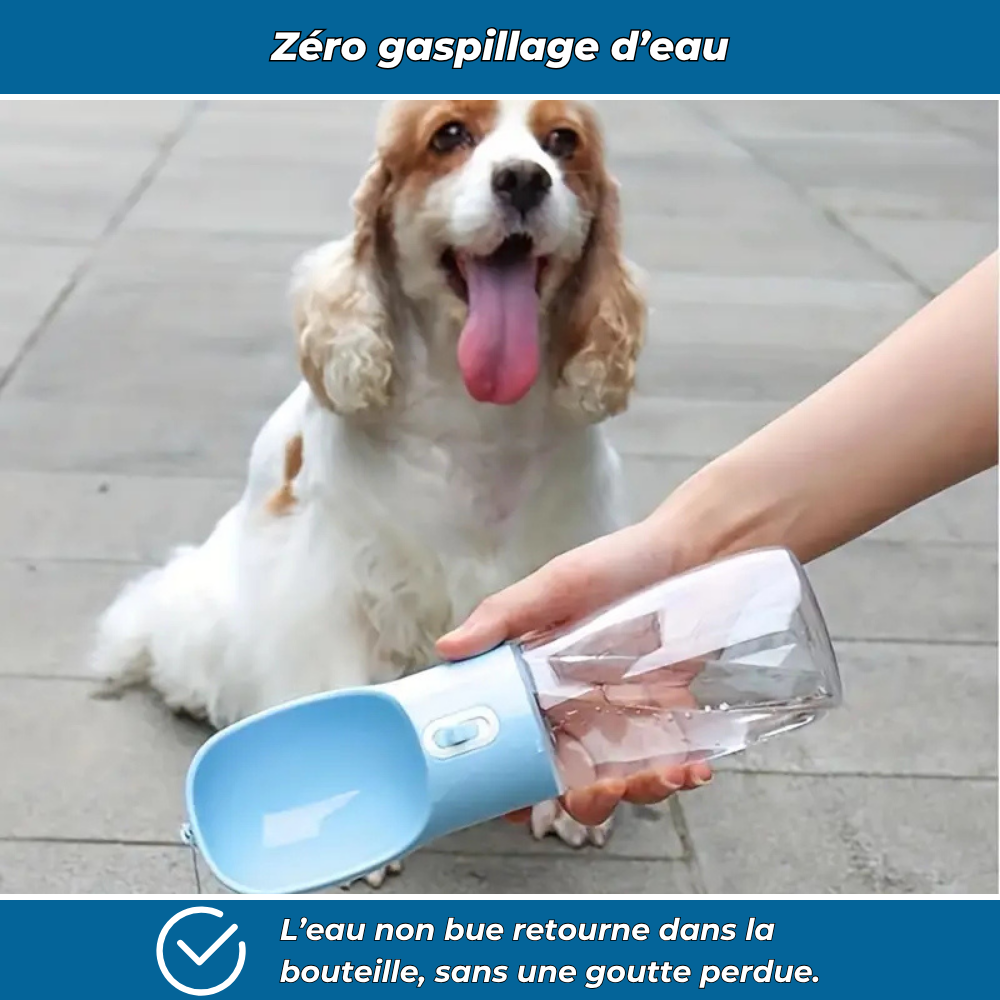Gourde de voyage avec bol intégré pour chien