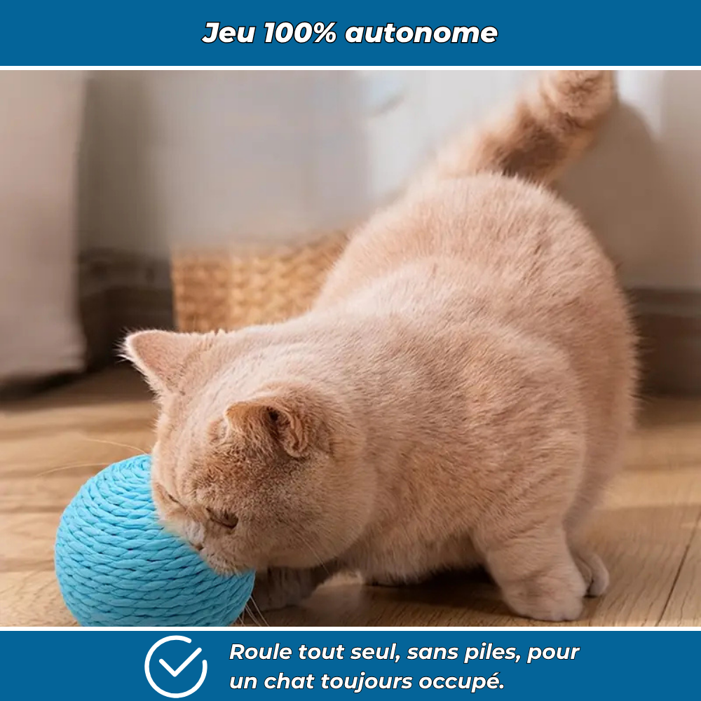 Balle à gratter interactive pour chats