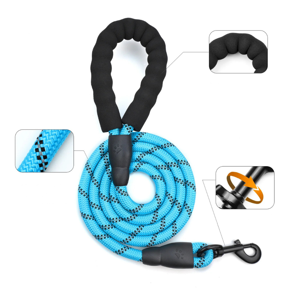 Harnais chien anti-fuite réglable + laisse 1,5 m réfléchissante