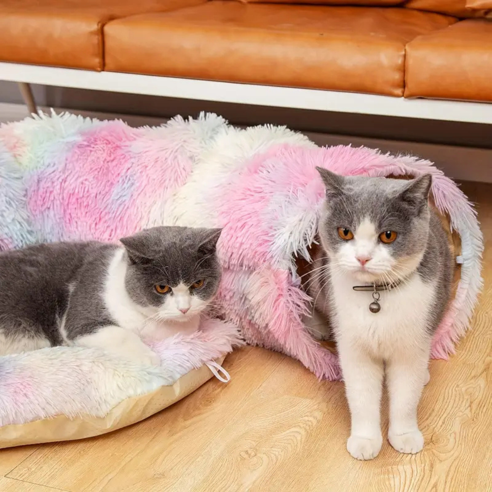 Tunnel pliable en peluche chaud pour chats et petits animaux