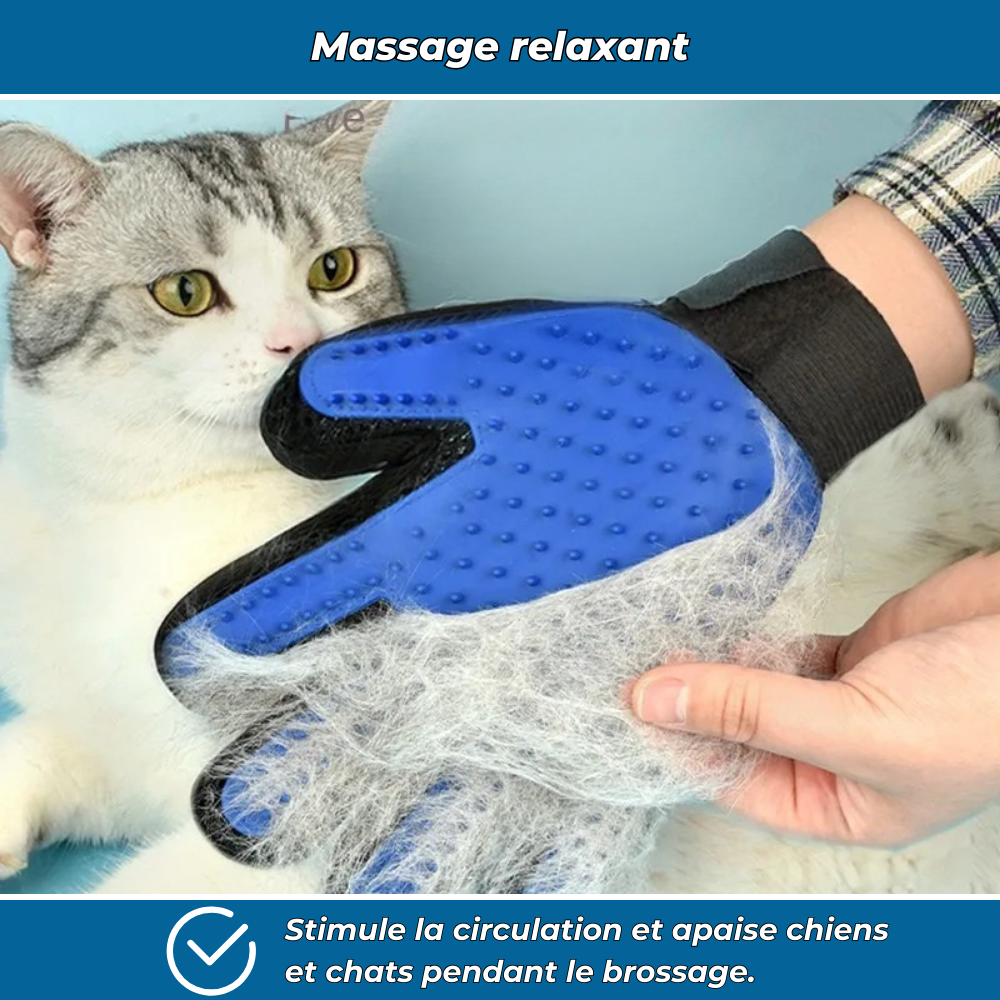 Gants de toilettage anti-poils
