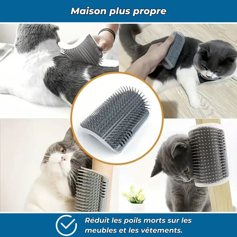 Brosse murale massante pour chat