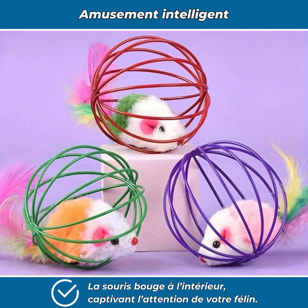 Balle cage interactive avec souris pour chat