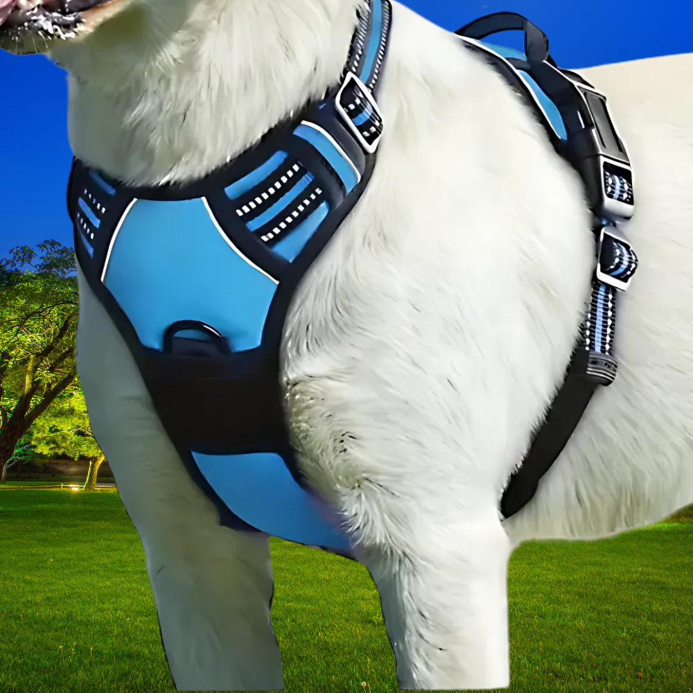 Harnais anti-évasion chien + laisse et distributeur – réglable et réfléchissant
