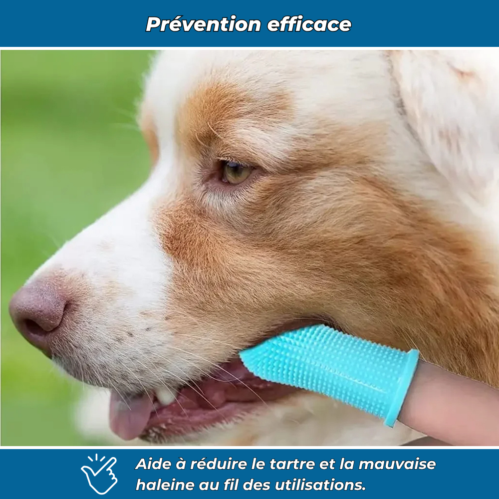 Brosse à dents en silicone pour chiens et chats