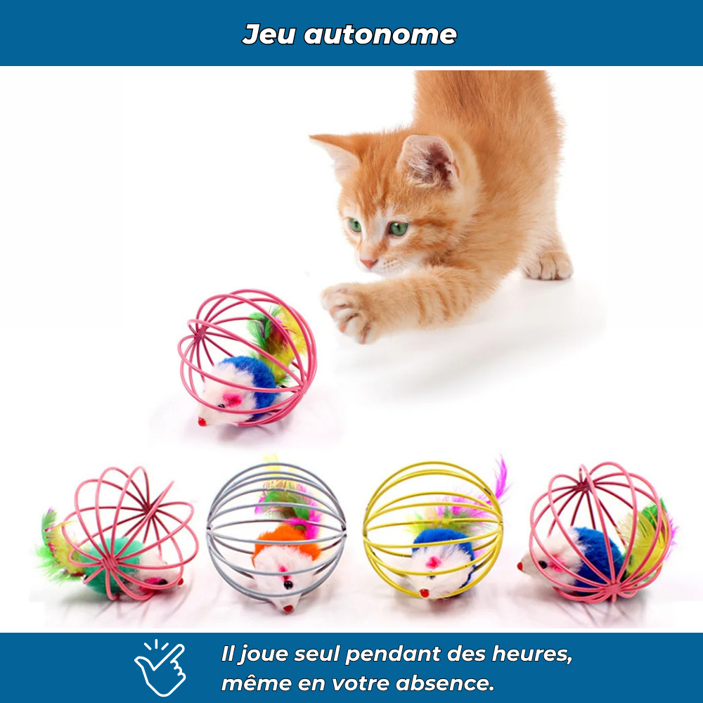 Balle cage interactive avec souris pour chat