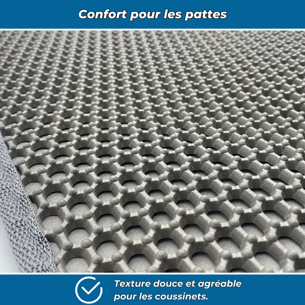 Tapis attrape-litière double couche pour chats