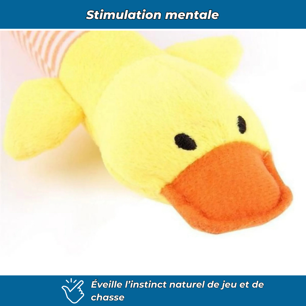 Jouet en peluche grinçant pour animaux