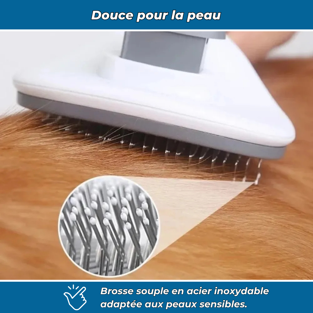 Brosse pour animaux efficace et facile à nettoyer