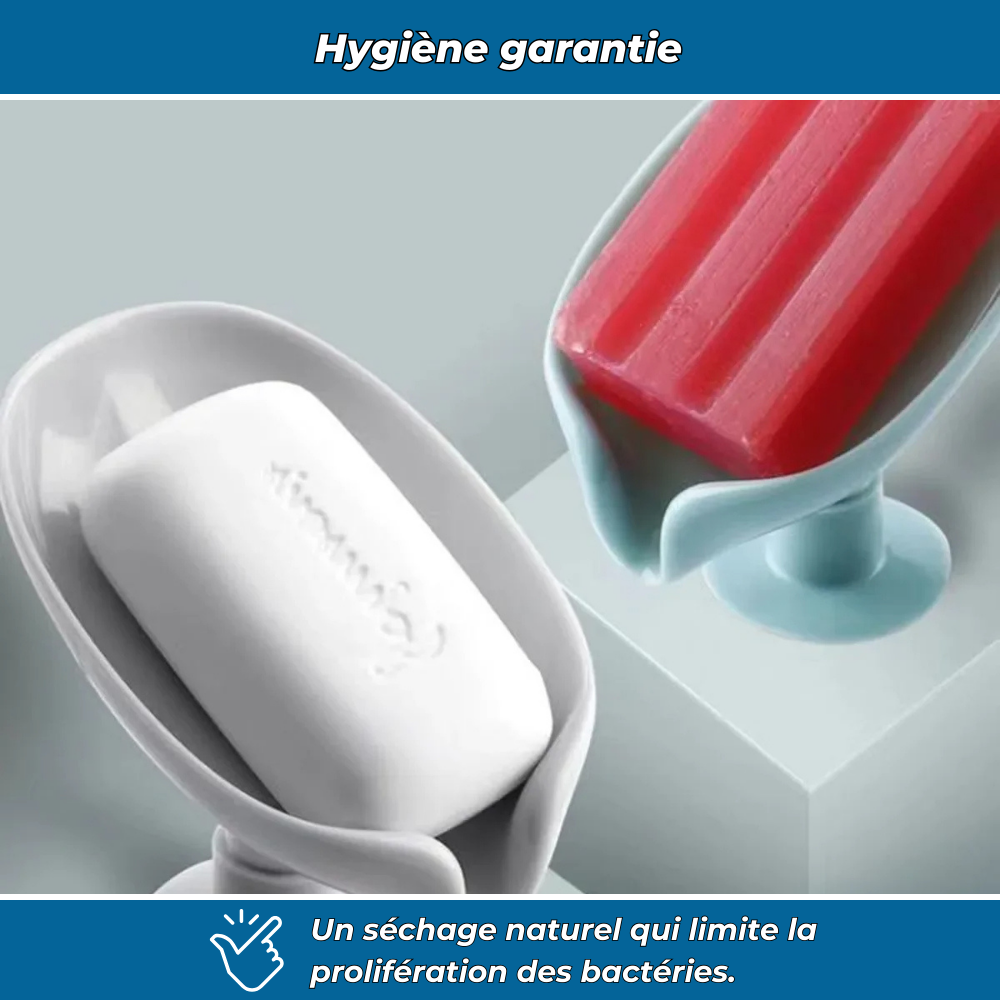 Porte-savon feuille auto-drainant