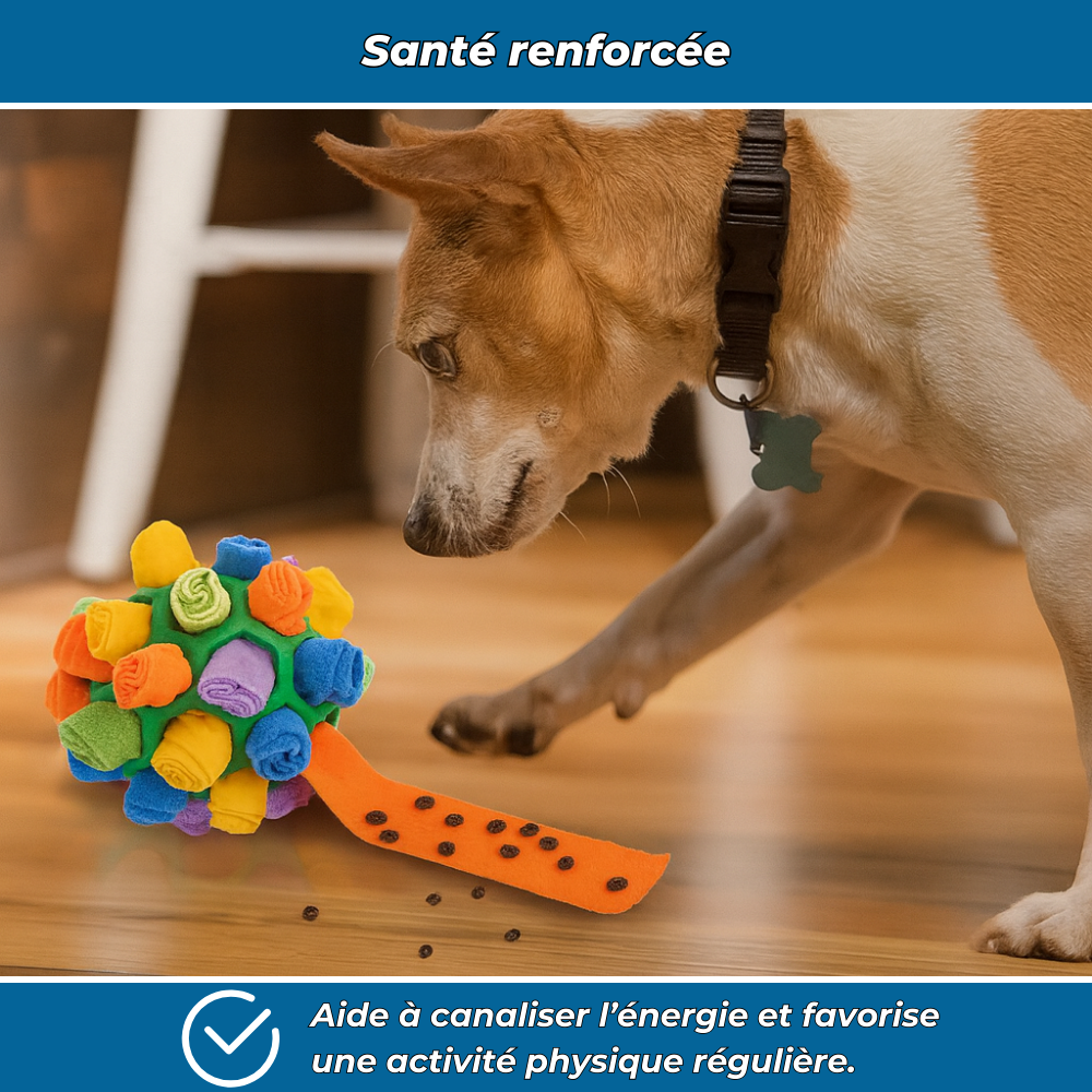 Balle à friandises interactive pour chien