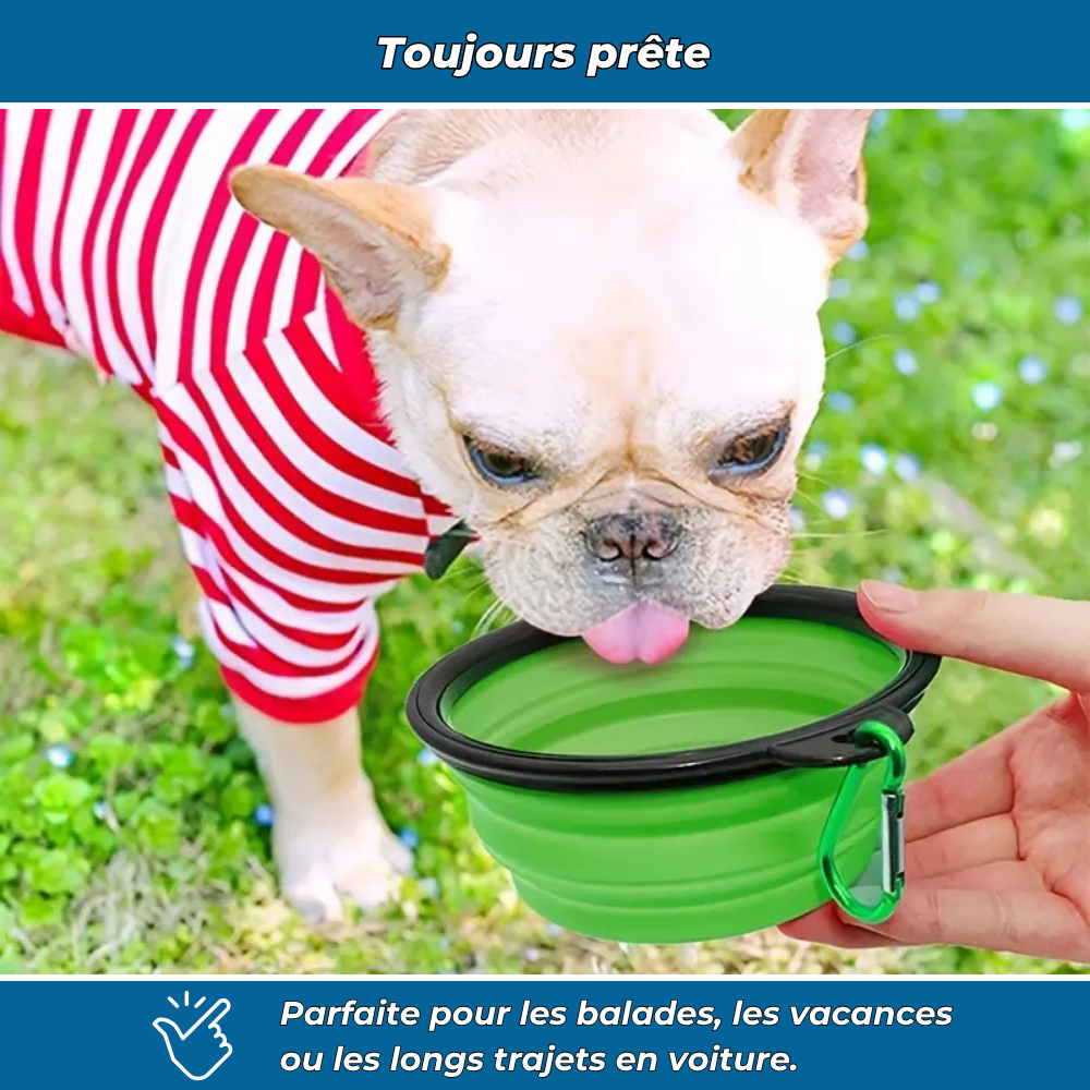 Gamelle pliable pour chiens et chats