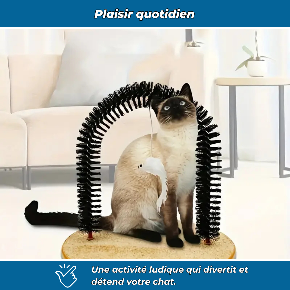 Arche massage et brossage chat