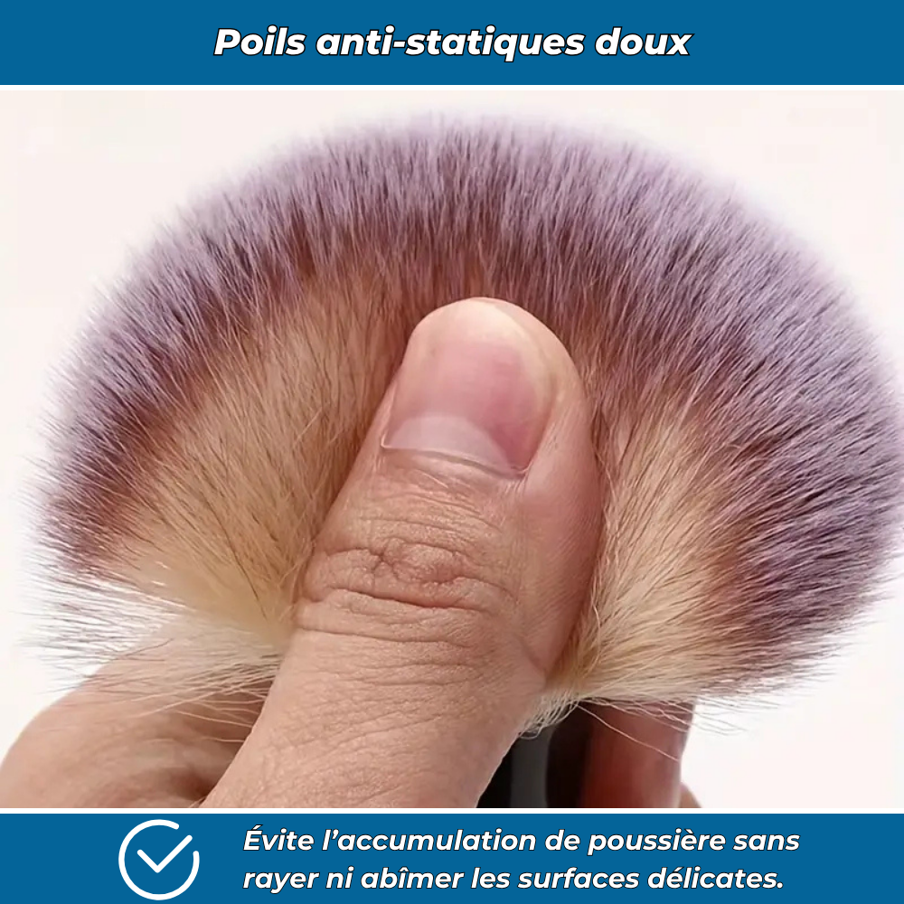 Dust PRO – Kit de 2 brosses anti-poussière pour voiture