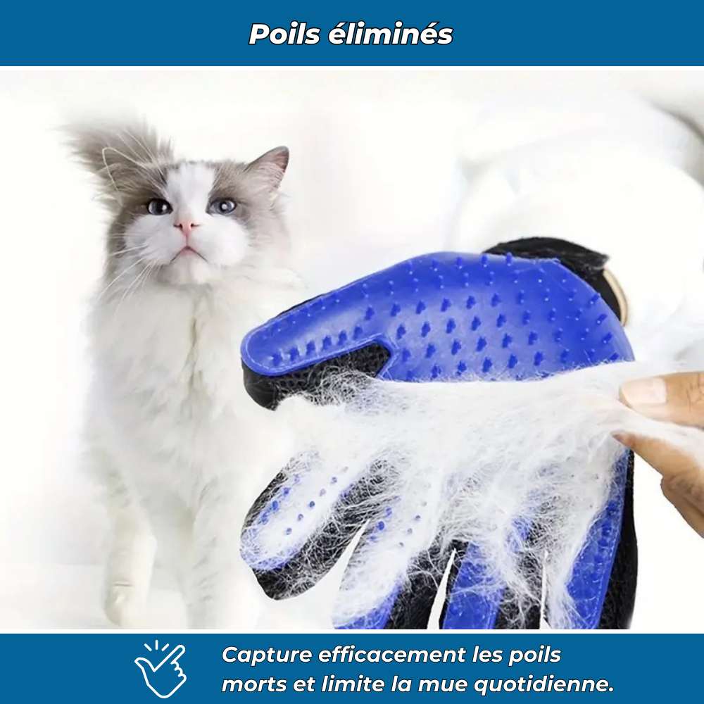 Gants de toilettage anti-poils