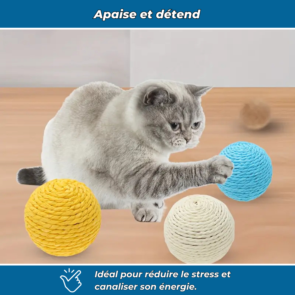 Balle à gratter interactive pour chats