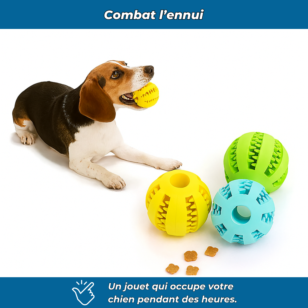Balle en caoutchouc à mâcher pour chien