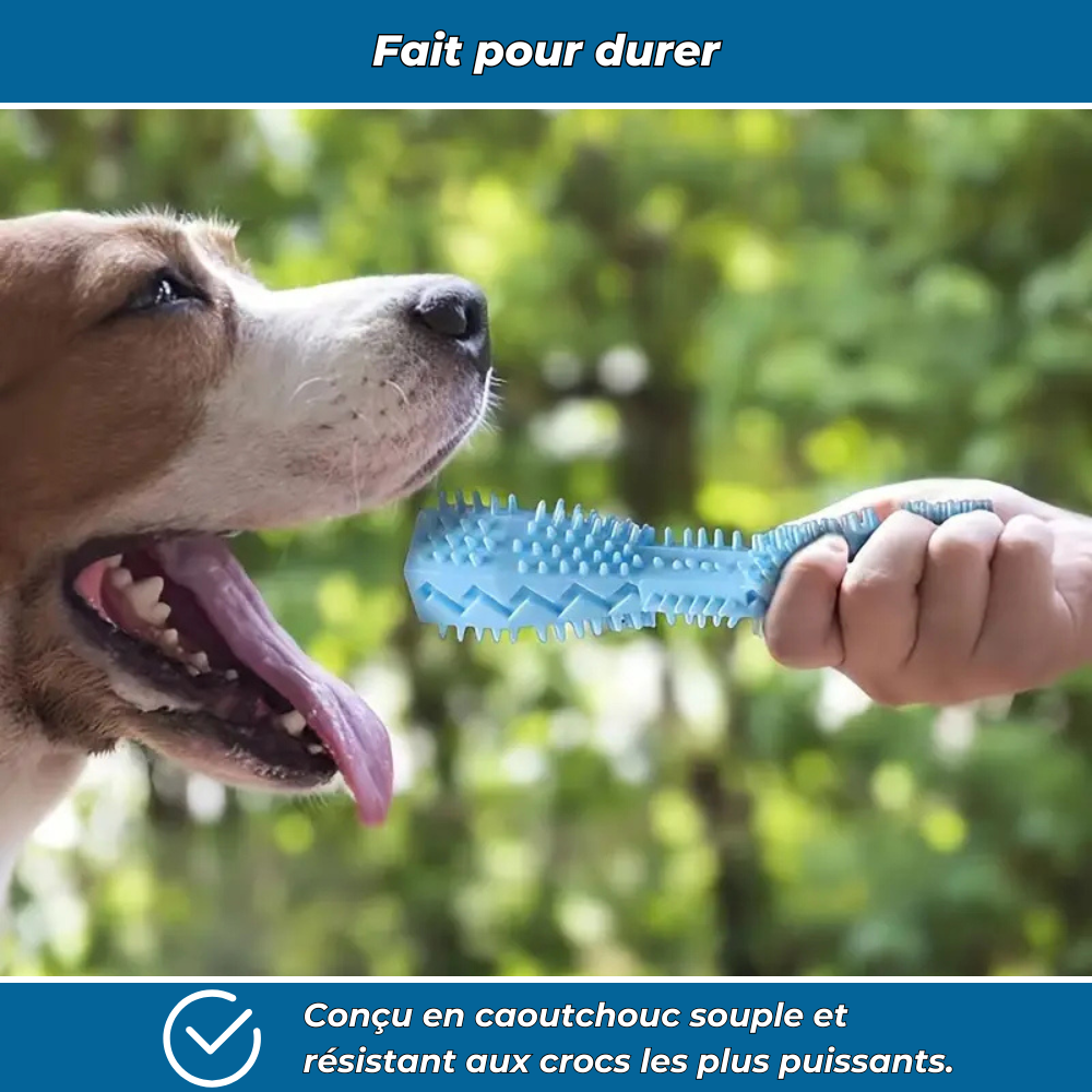 Bâtonnet Molaire en Caoutchouc Souple pour Chiens