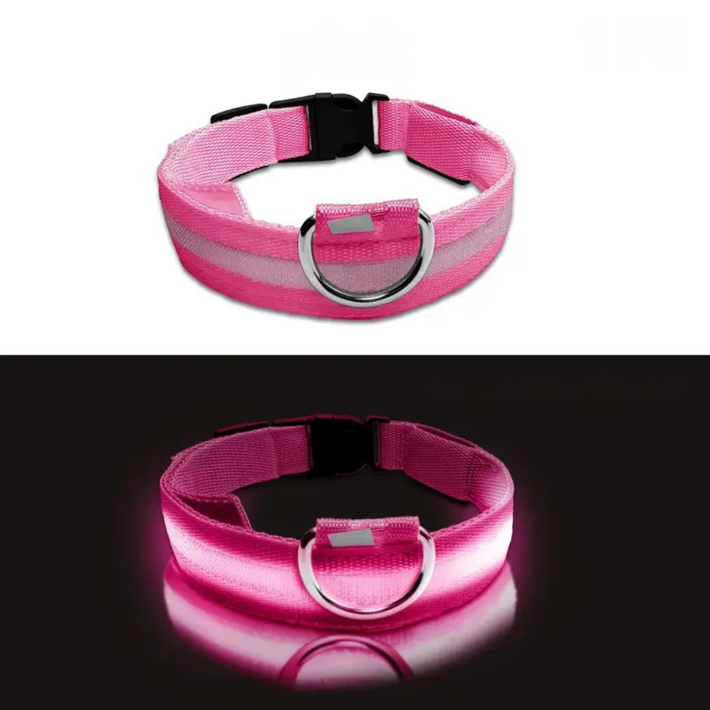 Collier LED phosphorescent pour chien